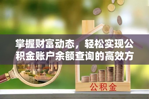 龙门掌握财富动态，轻松实现公积金账户余额查询的高效方法