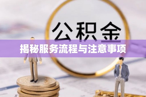 龙门揭秘服务流程与注意事项