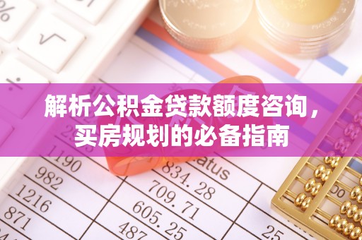 龙门解析公积金贷款额度咨询，买房规划的必备指南
