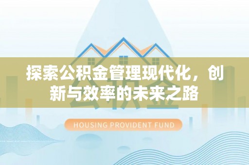 龙门探索公积金管理现代化，创新与效率的未来之路