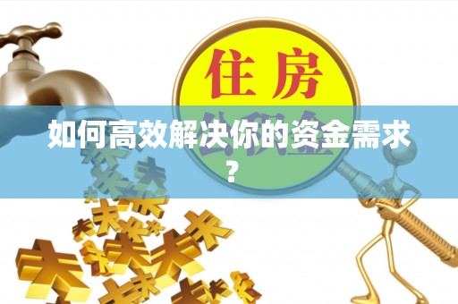 龙门如何高效解决你的资金需求？