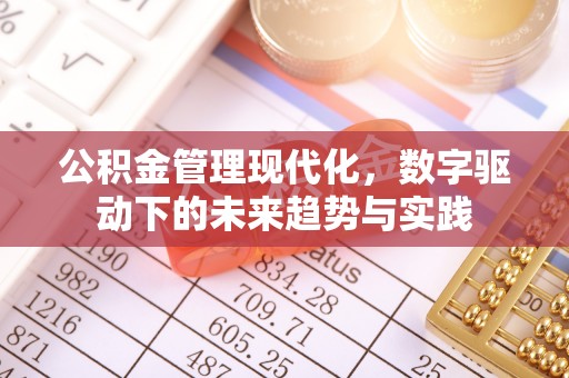 龙门公积金管理现代化，数字驱动下的未来趋势与实践