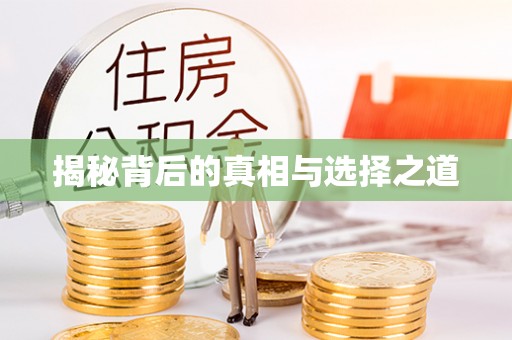 龙门揭秘背后的真相与选择之道