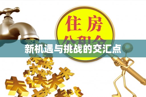 龙门新机遇与挑战的交汇点