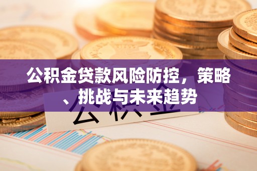 龙门公积金贷款风险防控，策略、挑战与未来趋势
