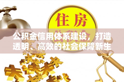 龙门公积金信用体系建设，打造透明、高效的社会保障新生态