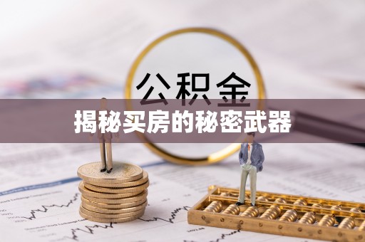 龙门揭秘买房的秘密武器