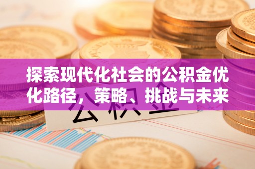 龙门探索现代化社会的公积金优化路径，策略、挑战与未来展望