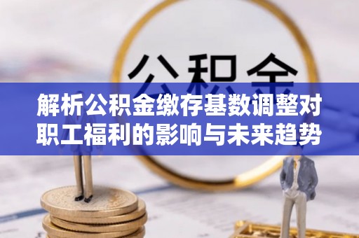龙门解析公积金缴存基数调整对职工福利的影响与未来趋势
