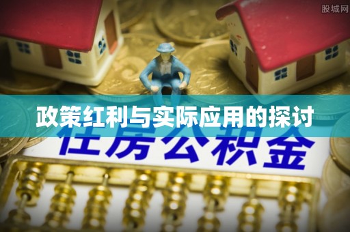龙门政策红利与实际应用的探讨