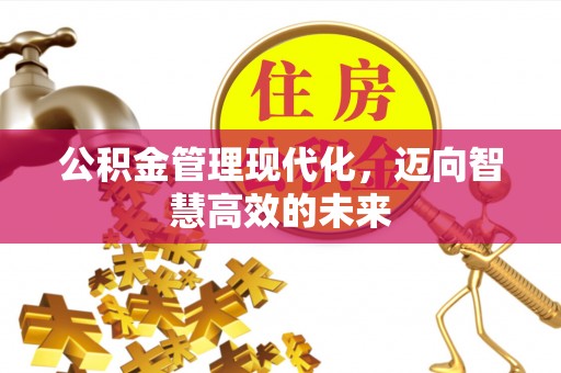 龙门公积金管理现代化，迈向智慧高效的未来