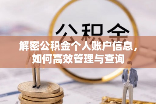 龙门解密公积金个人账户信息，如何高效管理与查询