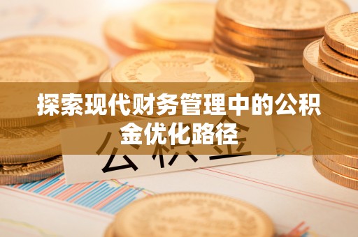 龙门探索现代财务管理中的公积金优化路径