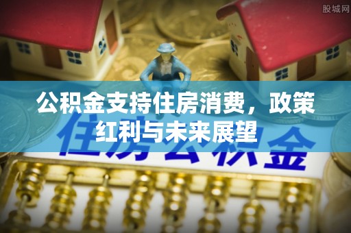 龙门公积金支持住房消费，政策红利与未来展望