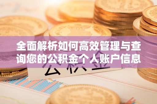 龙门全面解析如何高效管理与查询您的公积金个人账户信息