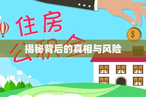 龙门揭秘背后的真相与风险