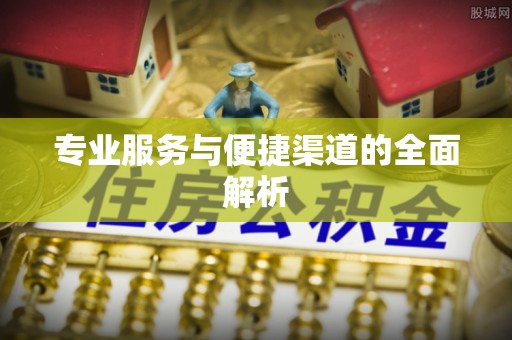 龙门专业服务与便捷渠道的全面解析