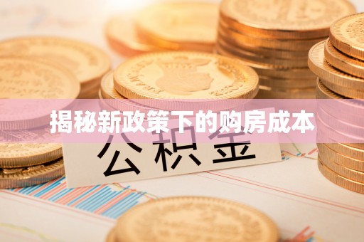 龙门揭秘新政策下的购房成本