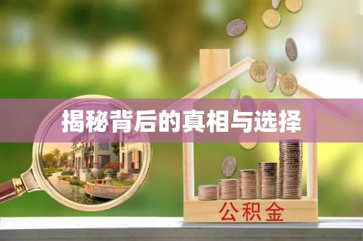 龙门揭秘背后的真相与选择