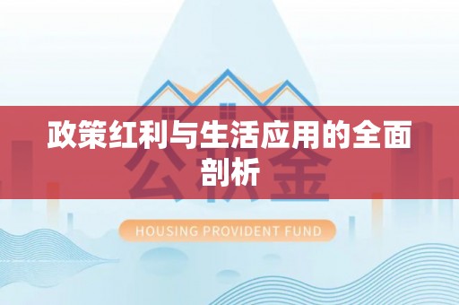 龙门政策红利与生活应用的全面剖析