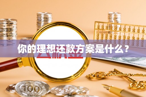 龙门你的理想还款方案是什么？