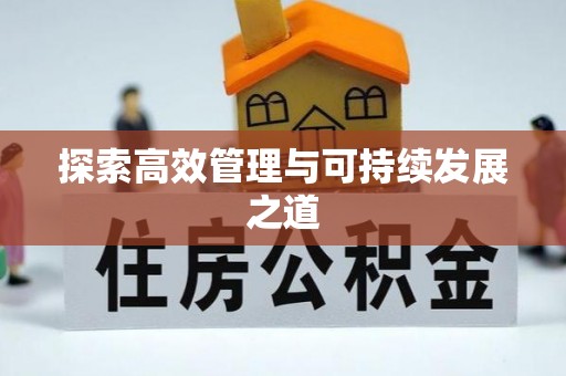 龙门探索高效管理与可持续发展之道