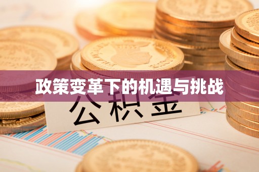 龙门政策变革下的机遇与挑战