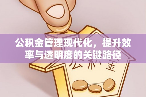 龙门公积金管理现代化，提升效率与透明度的关键路径
