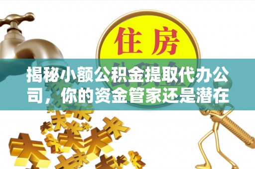 龙门揭秘小额公积金提取代办公司，你的资金管家还是潜在风险？