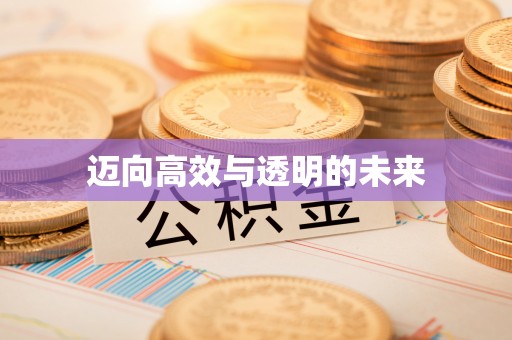 龙门迈向高效与透明的未来