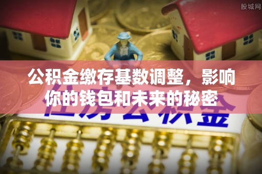 龙门公积金缴存基数调整，影响你的钱包和未来的秘密