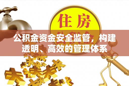 龙门公积金资金安全监管，构建透明、高效的管理体系