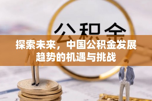 龙门探索未来，中国公积金发展趋势的机遇与挑战