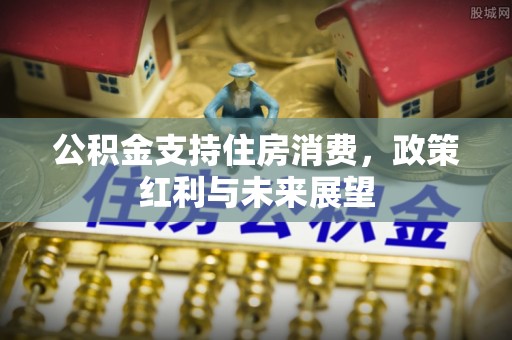 龙门公积金支持住房消费，政策红利与未来展望