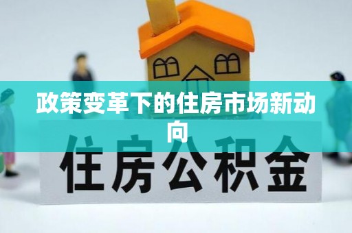 龙门政策变革下的住房市场新动向