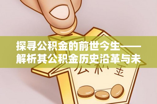 龙门探寻公积金的前世今生——解析其公积金历史沿革与未来方向