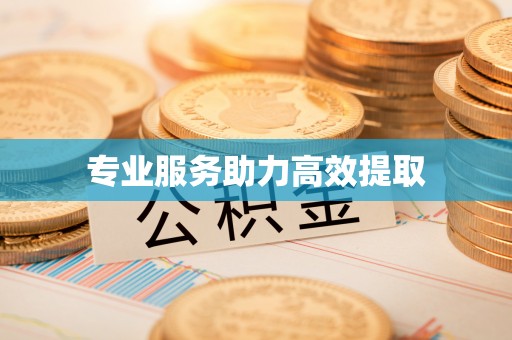 龙门专业服务助力高效提取