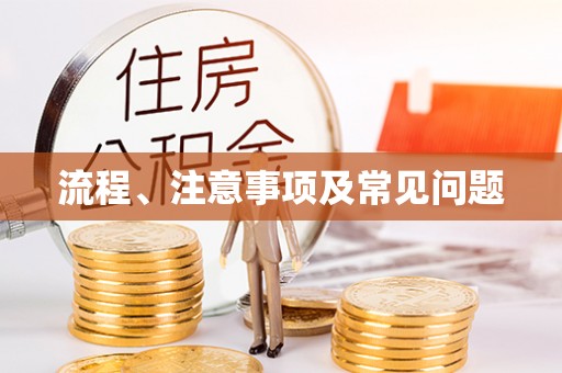 龙门流程、注意事项及常见问题