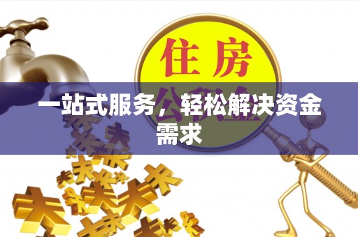 龙门一站式服务，轻松解决资金需求