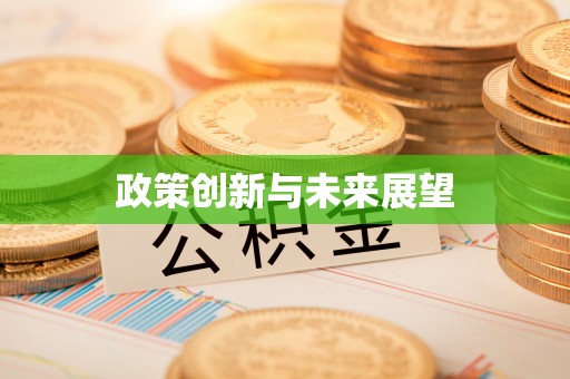 龙门政策创新与未来展望
