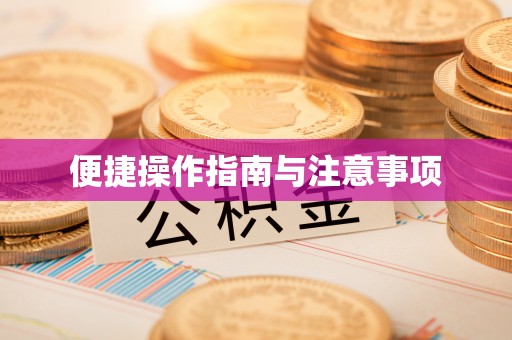 龙门便捷操作指南与注意事项